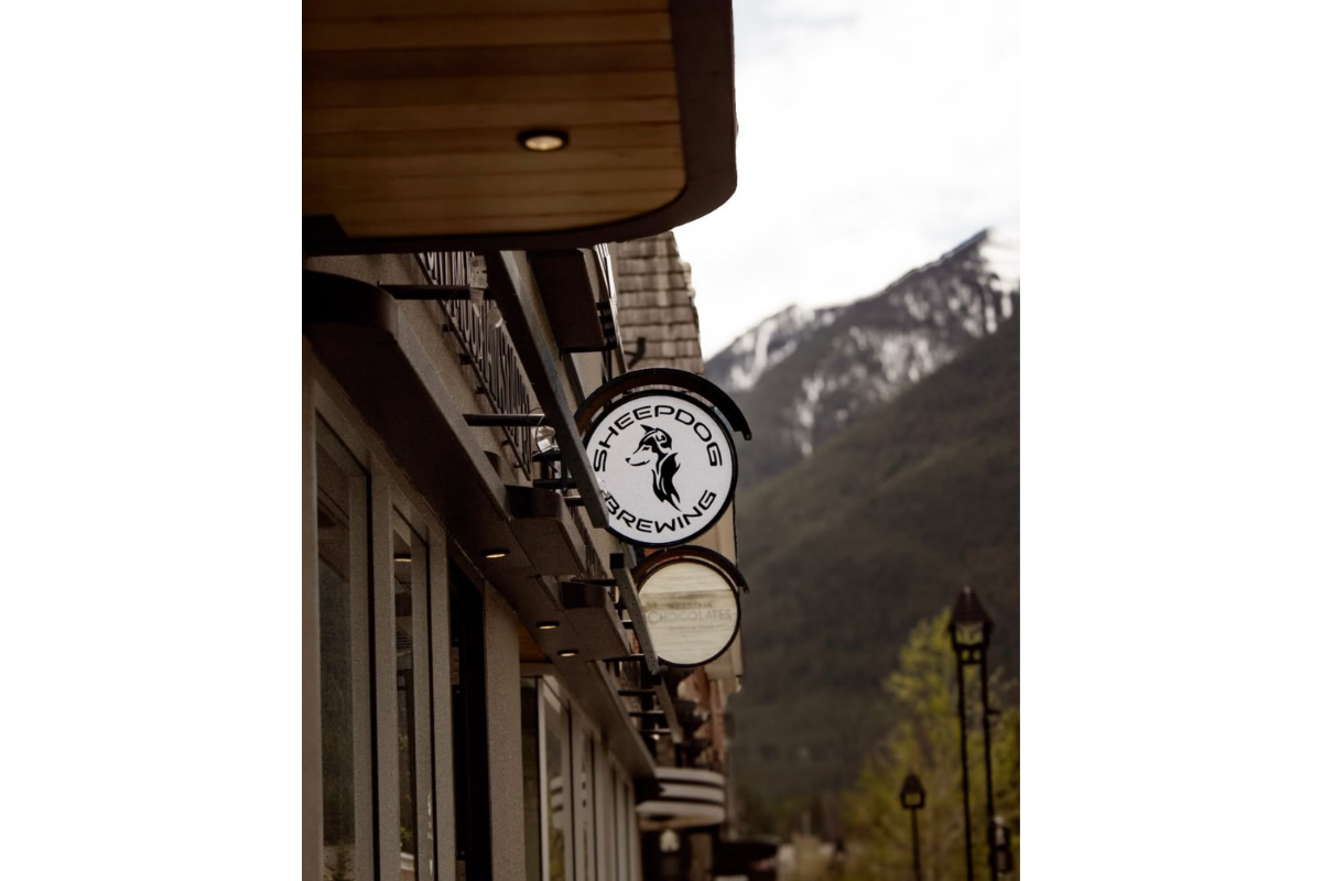 Sheepdog Brewing sign hangs from a building with a snow-capped mountain behind it.