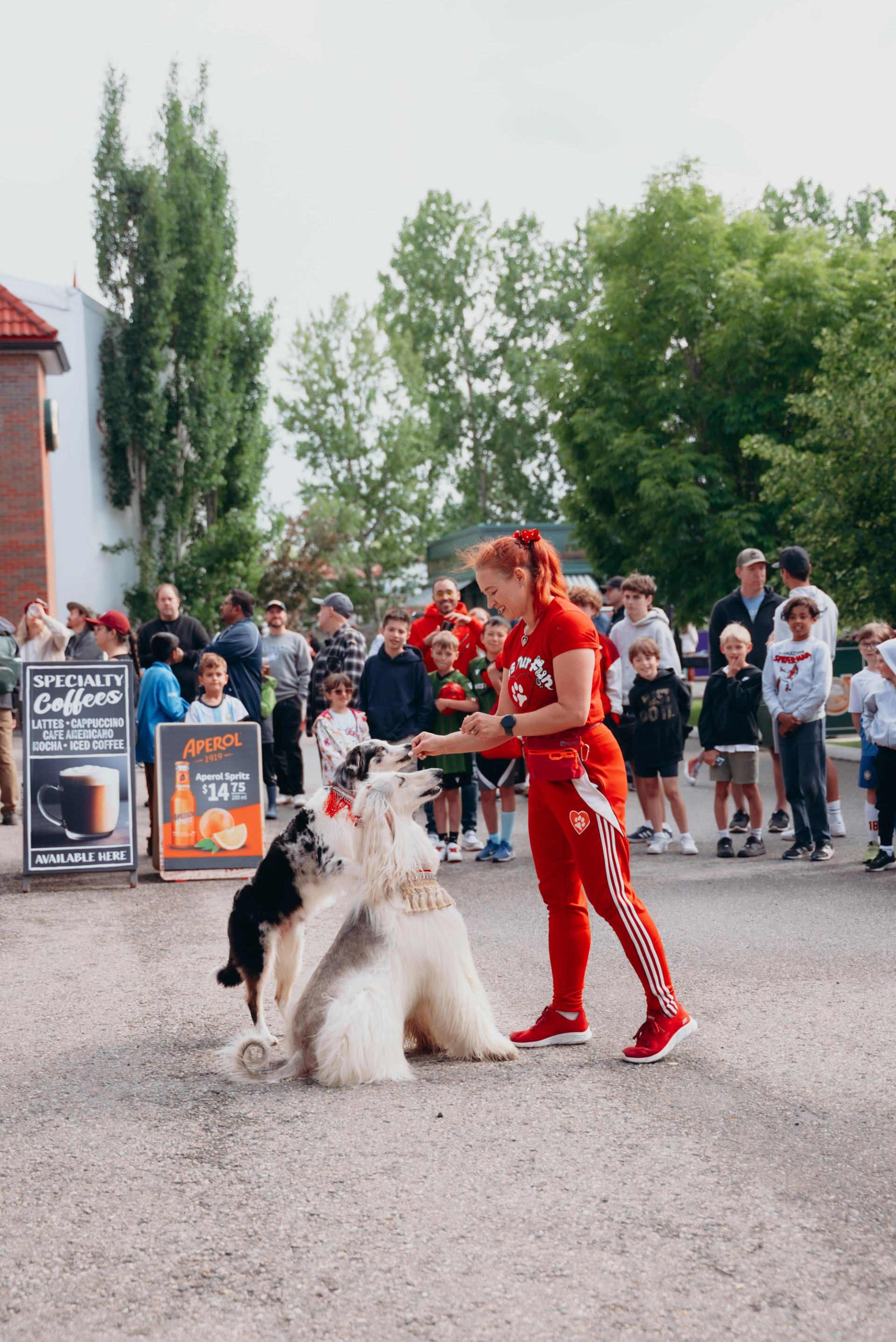 A performer coaches two dogs during a trick show as a crowd gathers around.