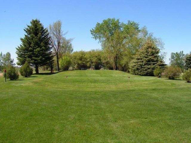 A green golf course with trees under a clear blue sky.