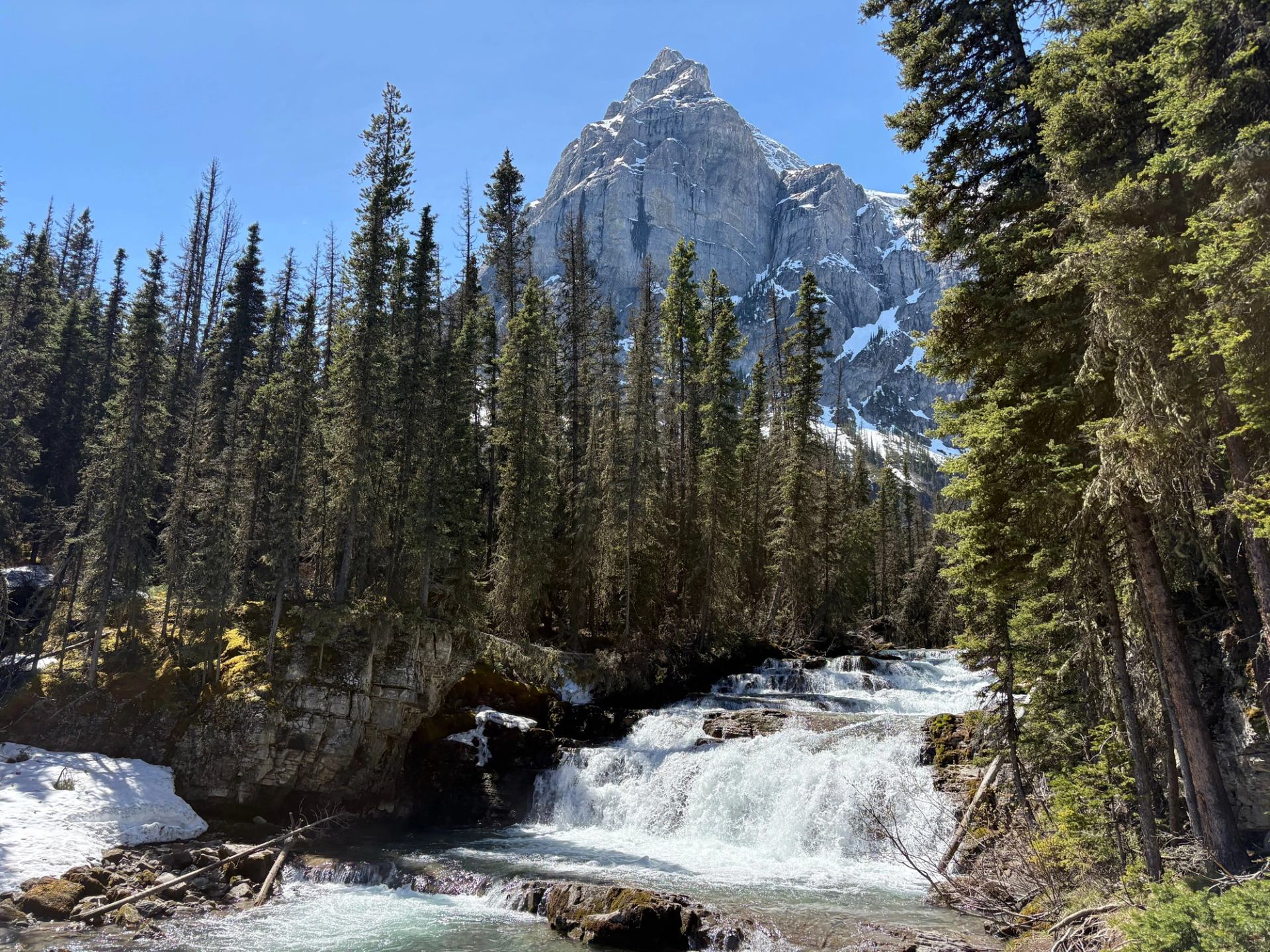 Mountain waterfall flows through dense evergreen forest below rocky, snow-patched peak under clear sky.