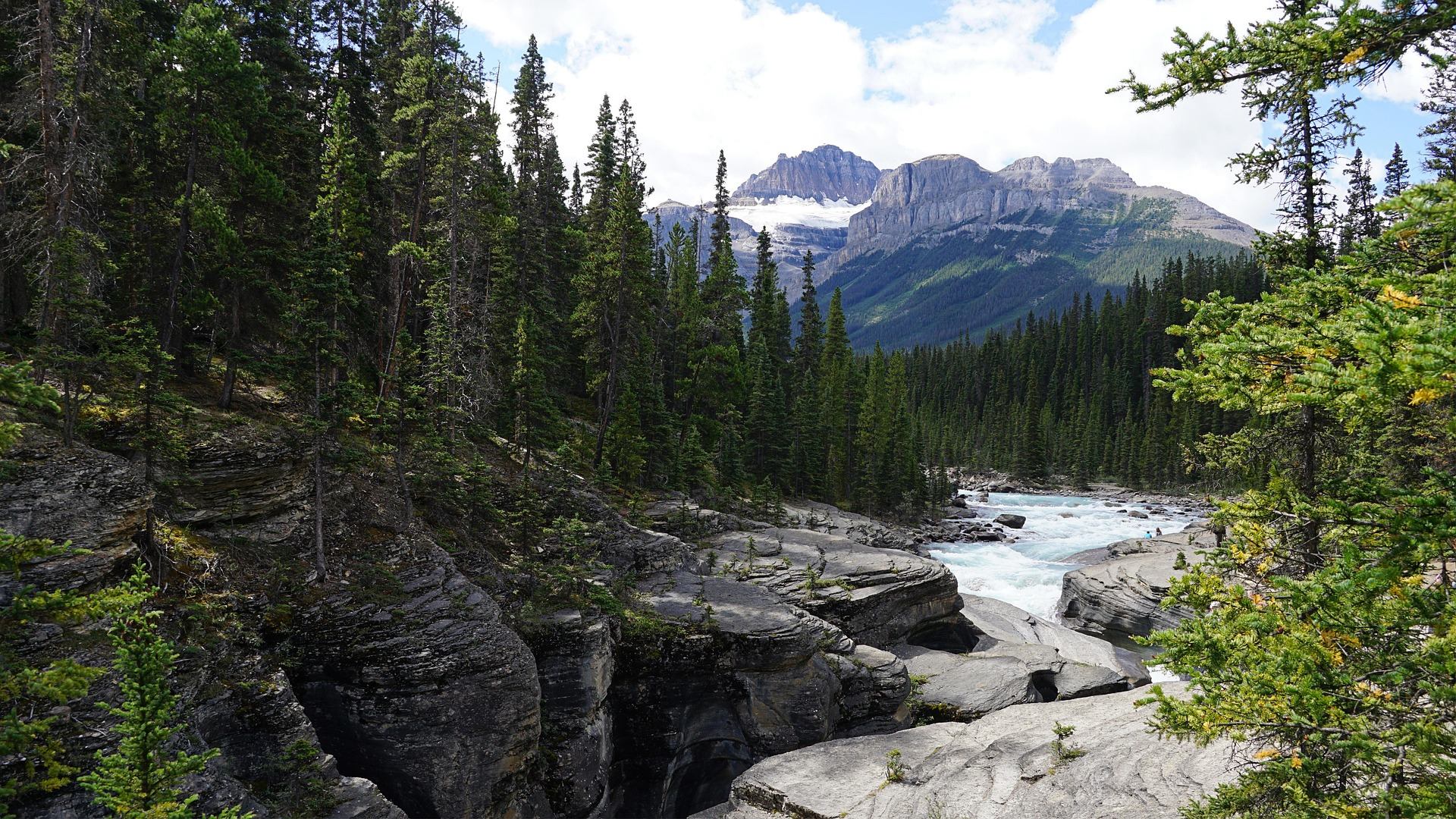 Mountain river flowing through rocky gorge surrounded by dense evergreen forest and peaks.