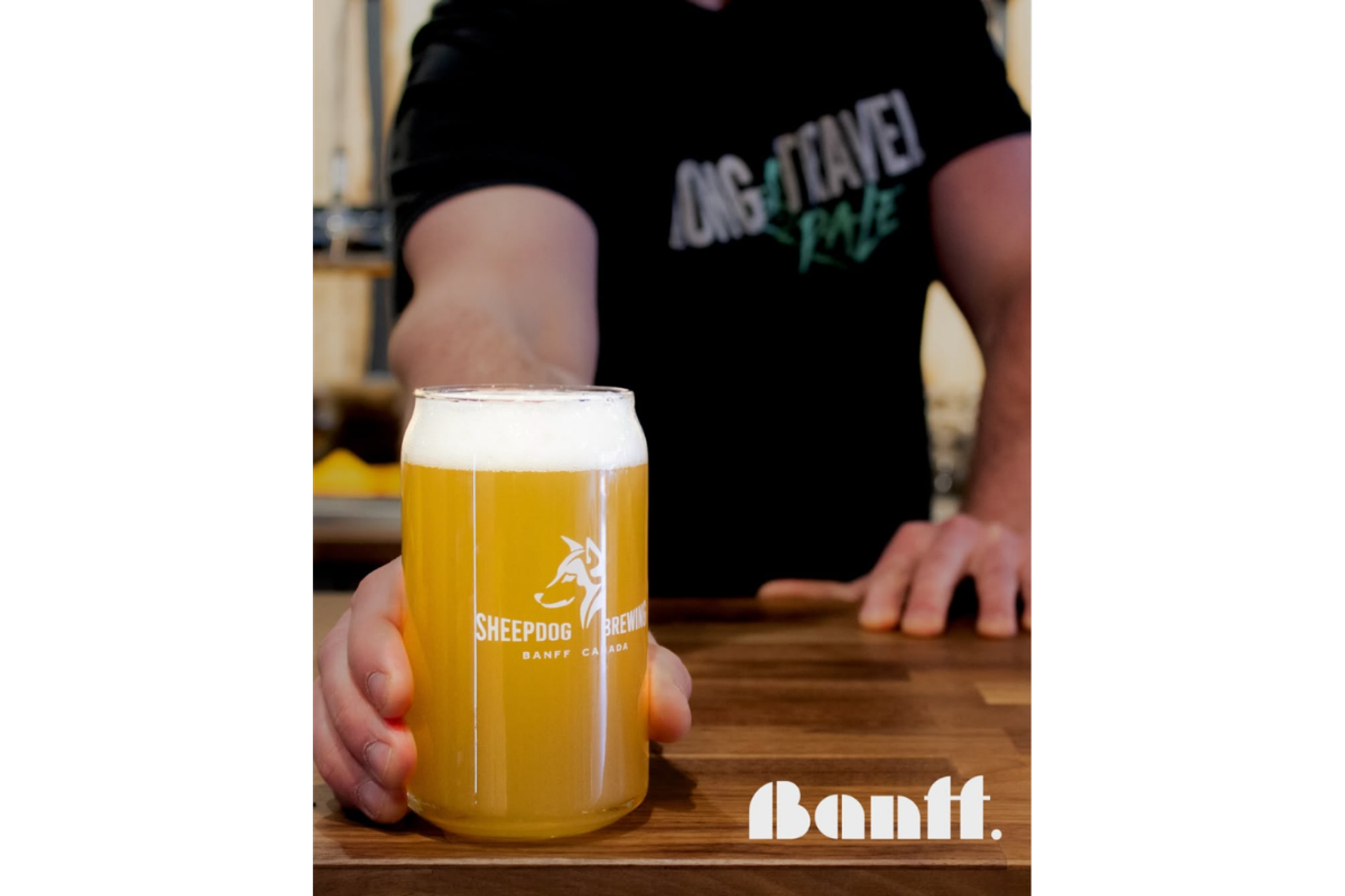 Person holds a foamy beer in a Sheepdog Brewing glass on a wooden counter.
