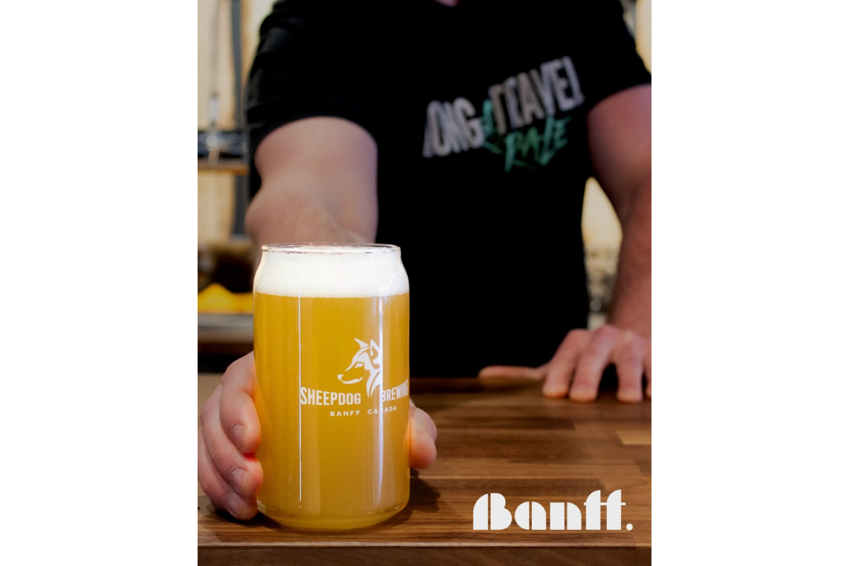 Person holds a foamy beer in a Sheepdog Brewing glass on a wooden counter.