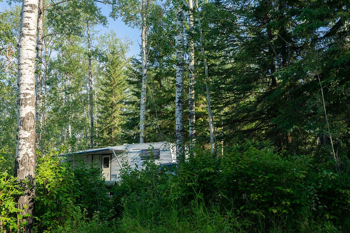 An RV barely visible behind trees and shrubs.