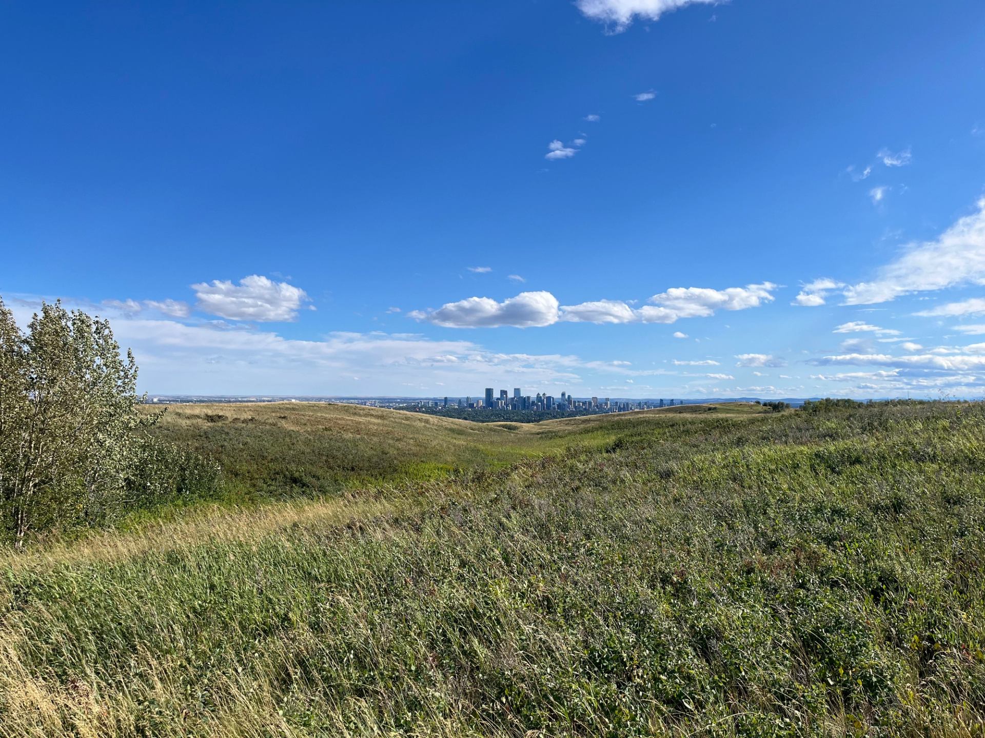  Rolling prairie hills with Calgary skyline visible on the horizon.