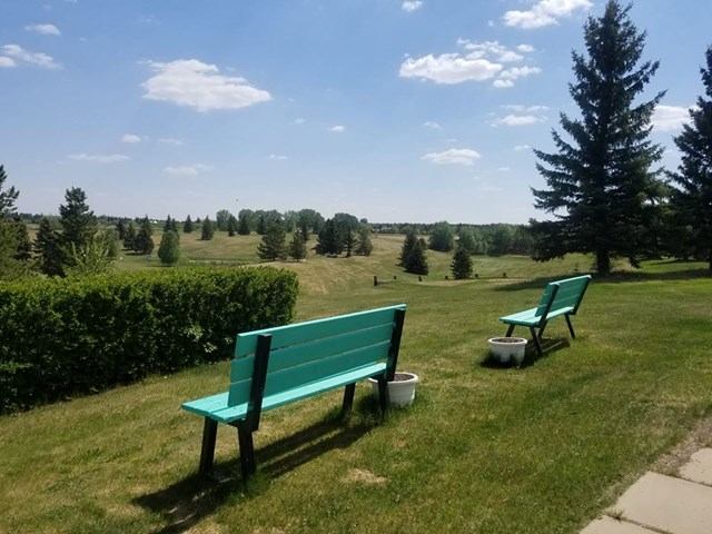 Green benches overlook grassy golf course with scattered trees under blue sky.
