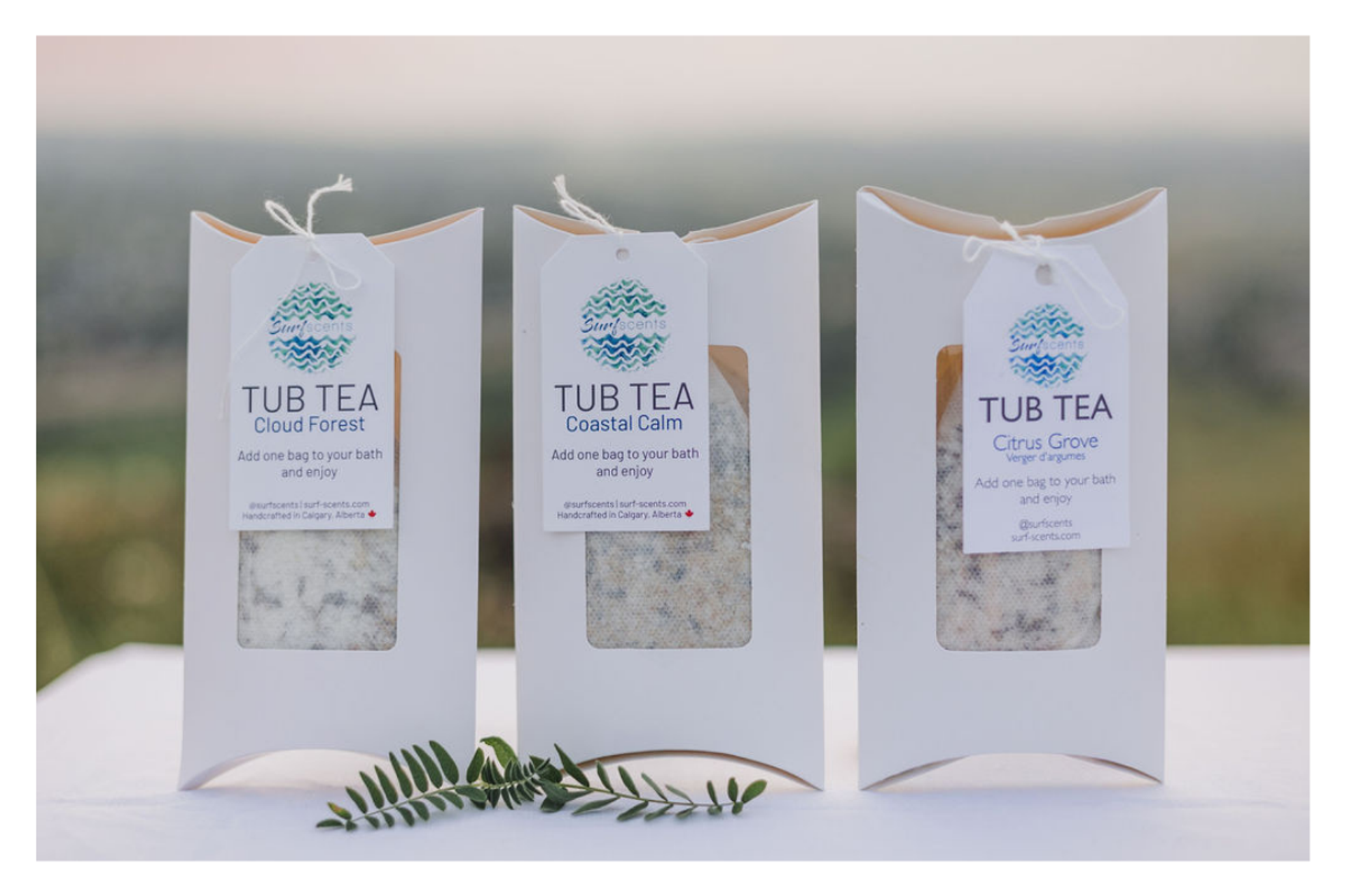 Three Surf Scents tub tea packages on white surface with greenery in foreground.
