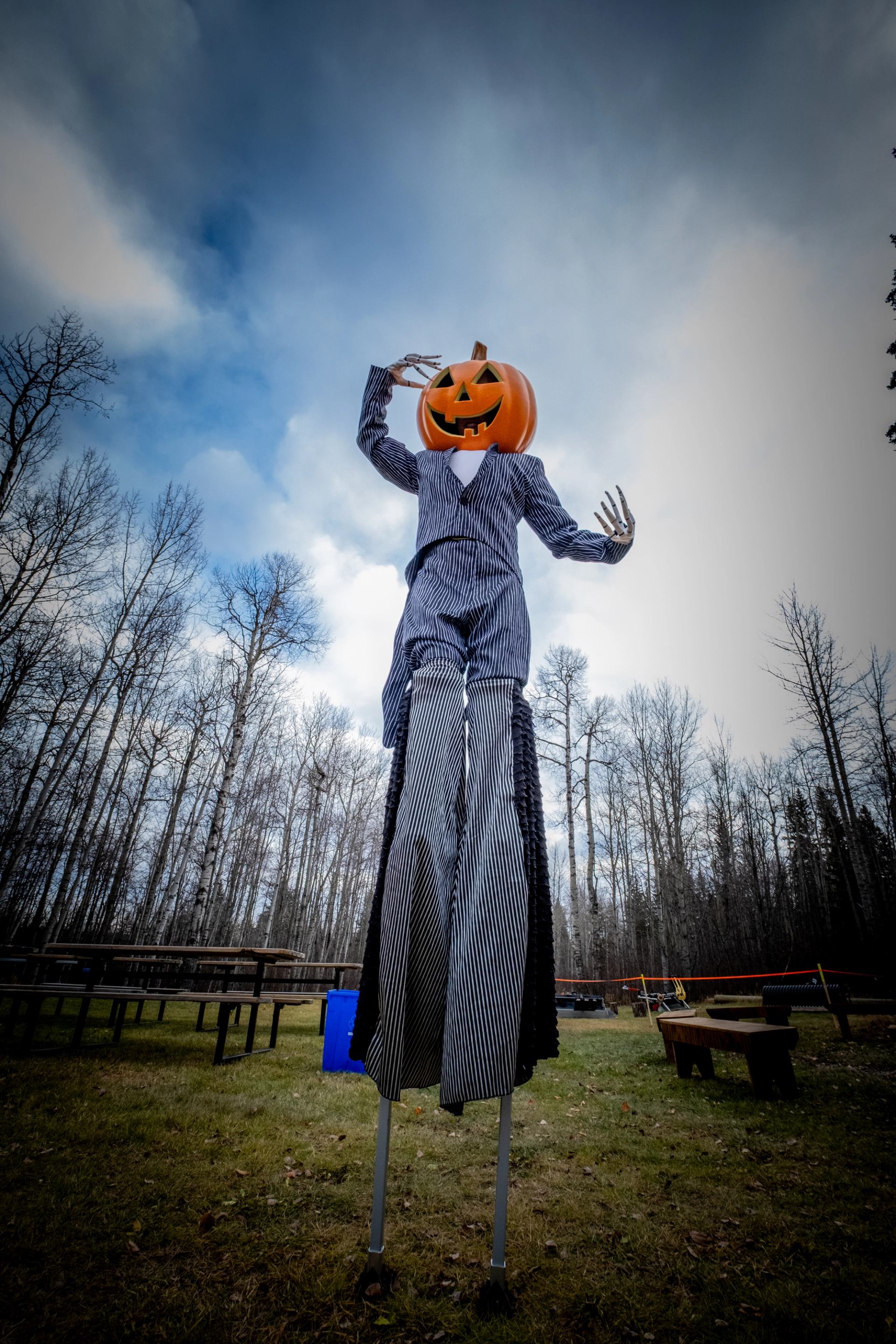 Tall pumpkin-headed figure on stilts in striped suit stands in open field.