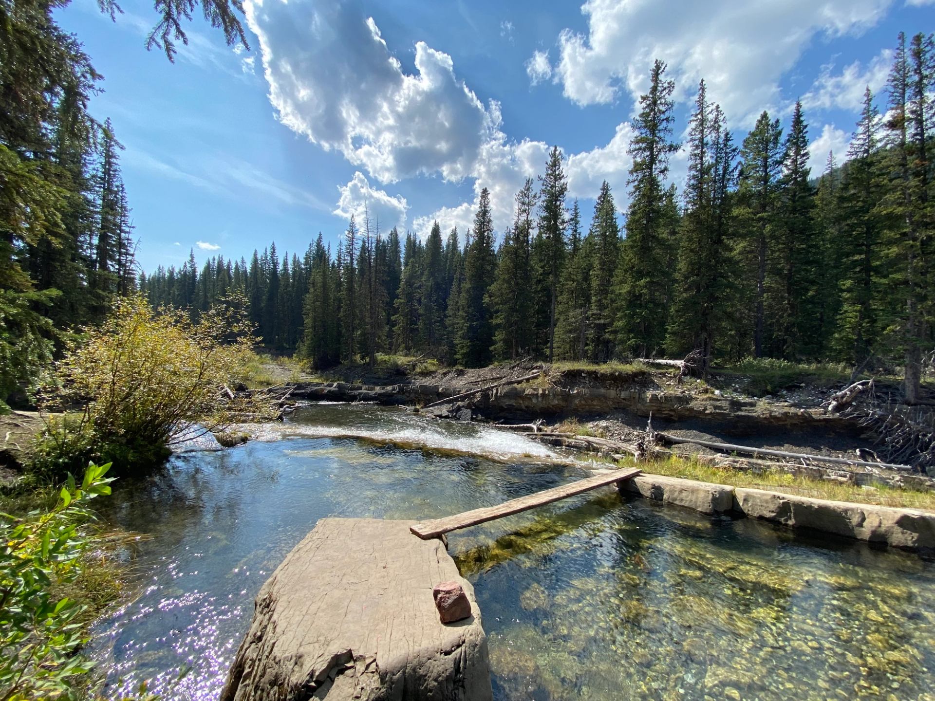 Clear water with dock in forest under blue sky and scattered clouds.