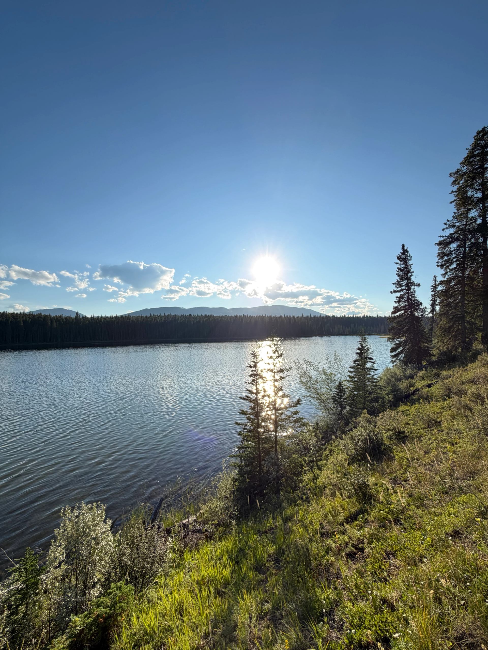 Lake shoreline with evergreen trees and bright sun reflecting on calm water.