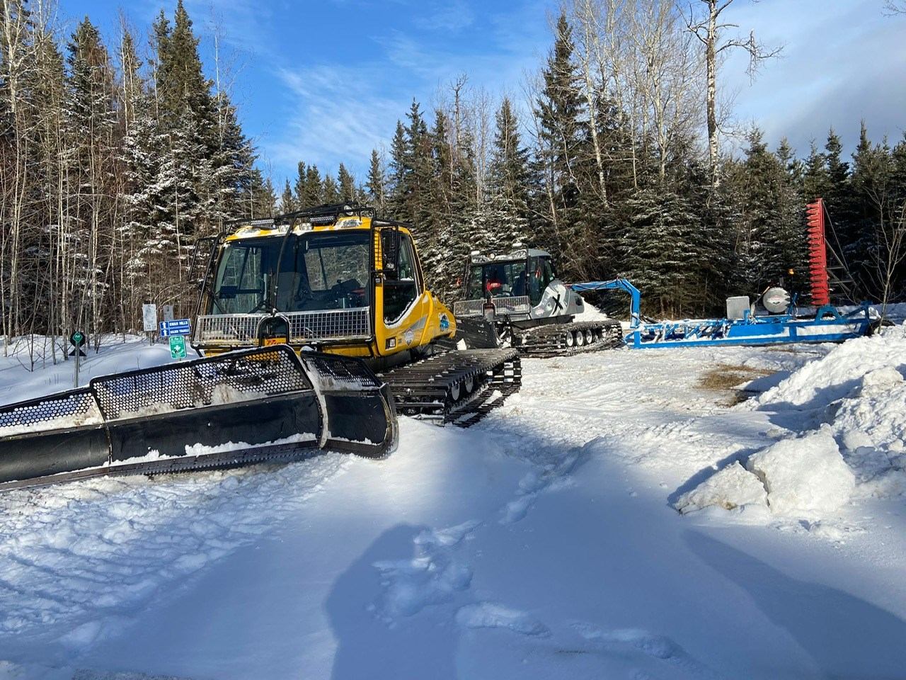 Yellow-cab snow groomer sits on snowy path amid pine trees under clear blue sky, evoking a serene winter scene.