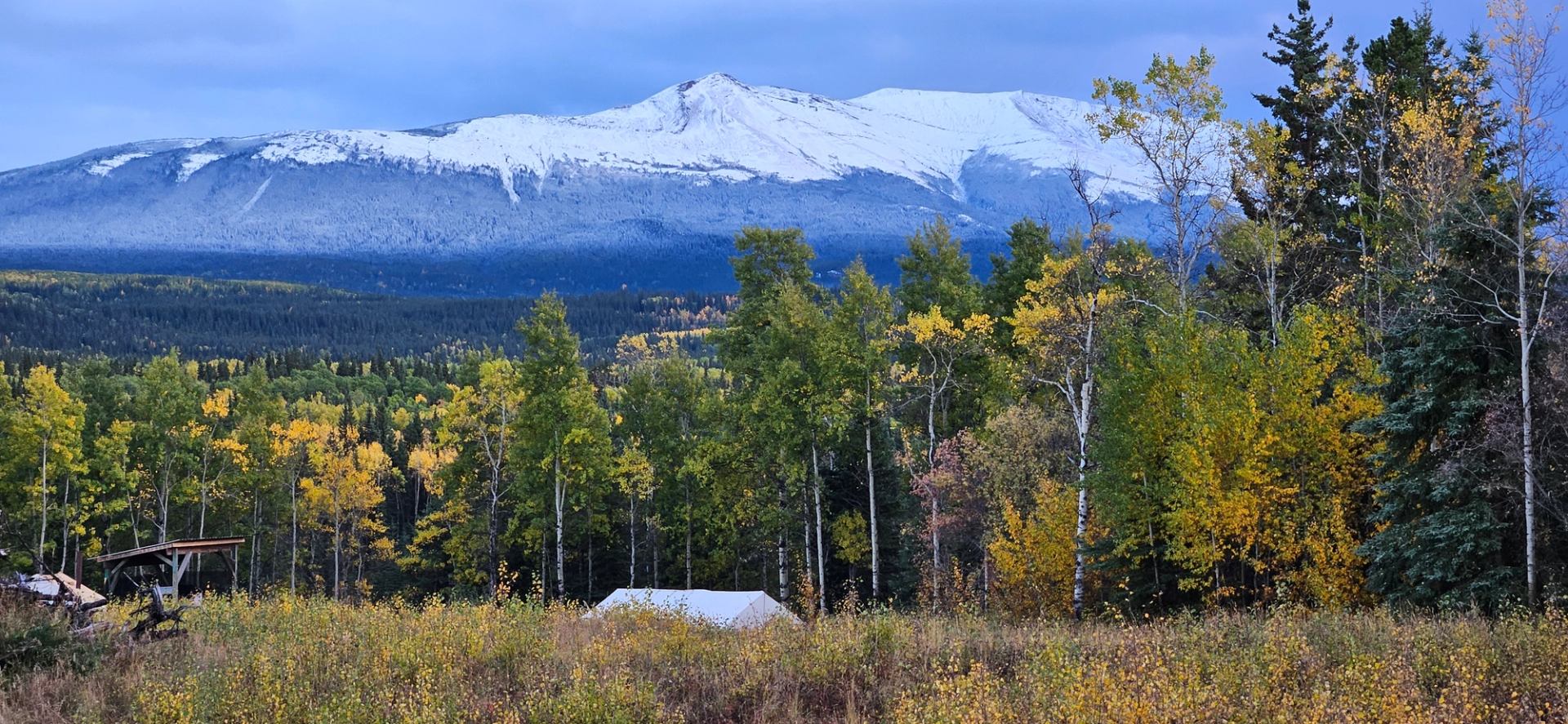 Snow-capped mountains rise behind a forest of autumn trees and a small cabin in the clearing.