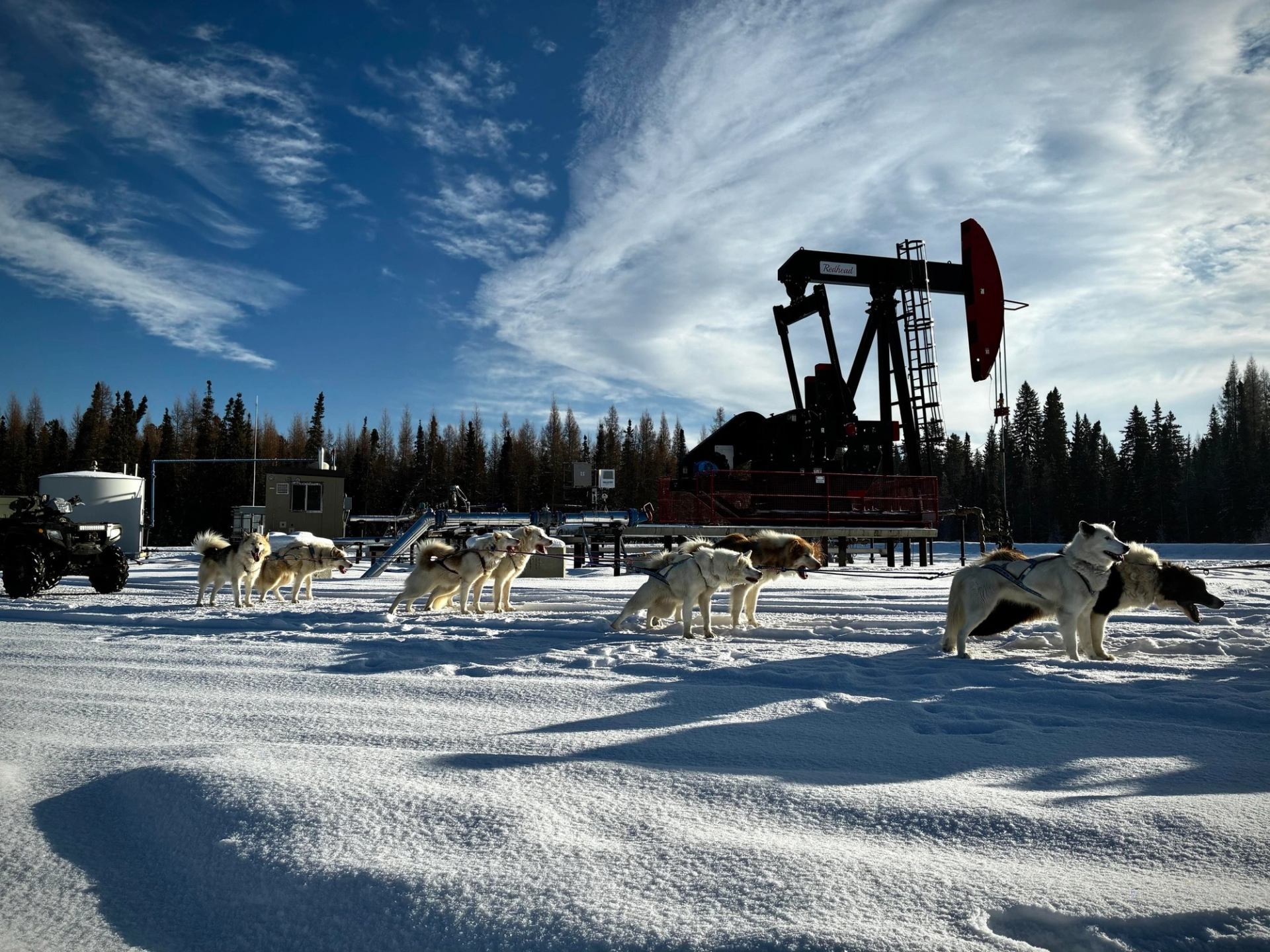 Sled dogs stand on snowy ground near oil pumpjack and industrial buildings.