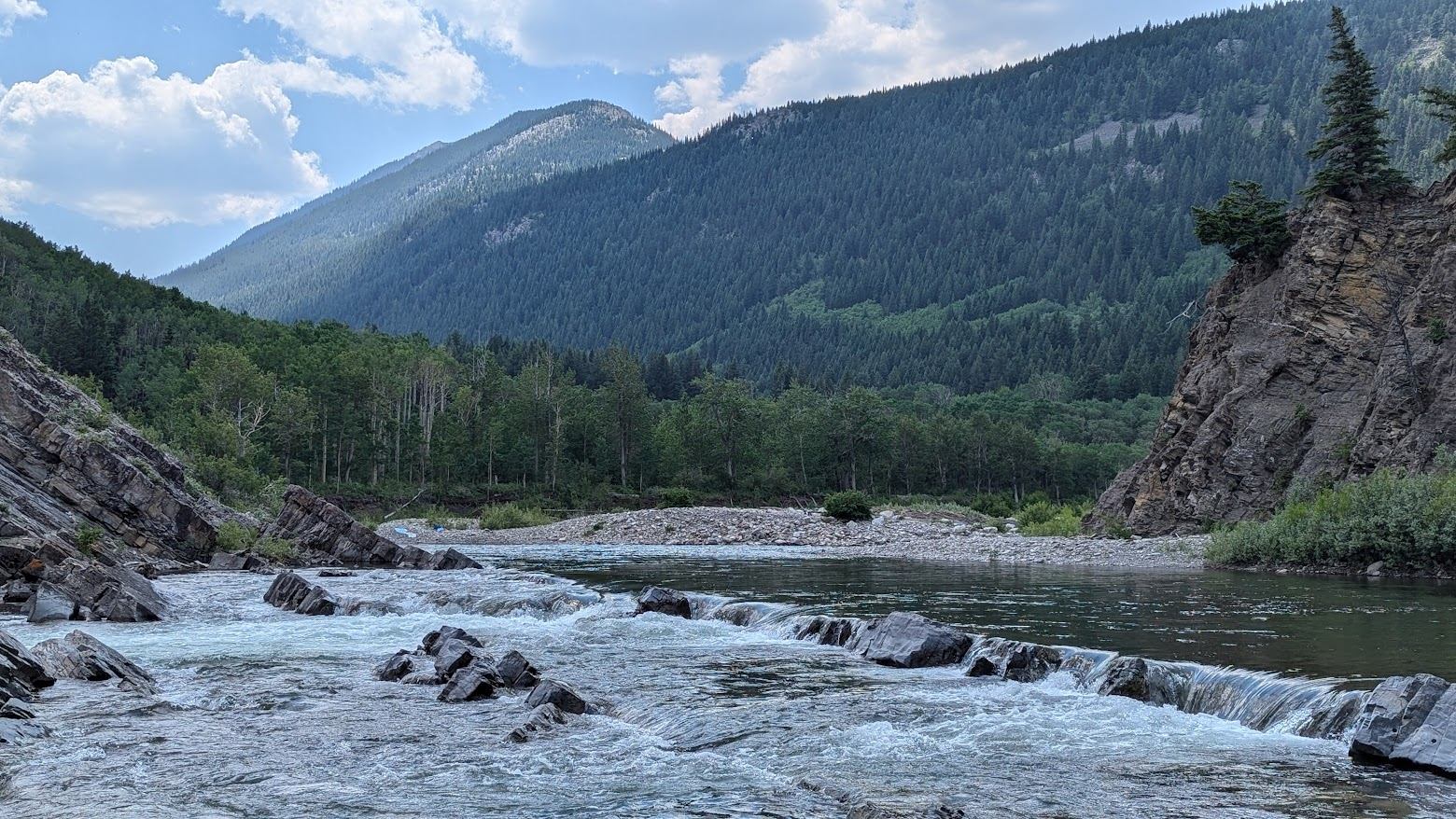alberta fly fishing trip