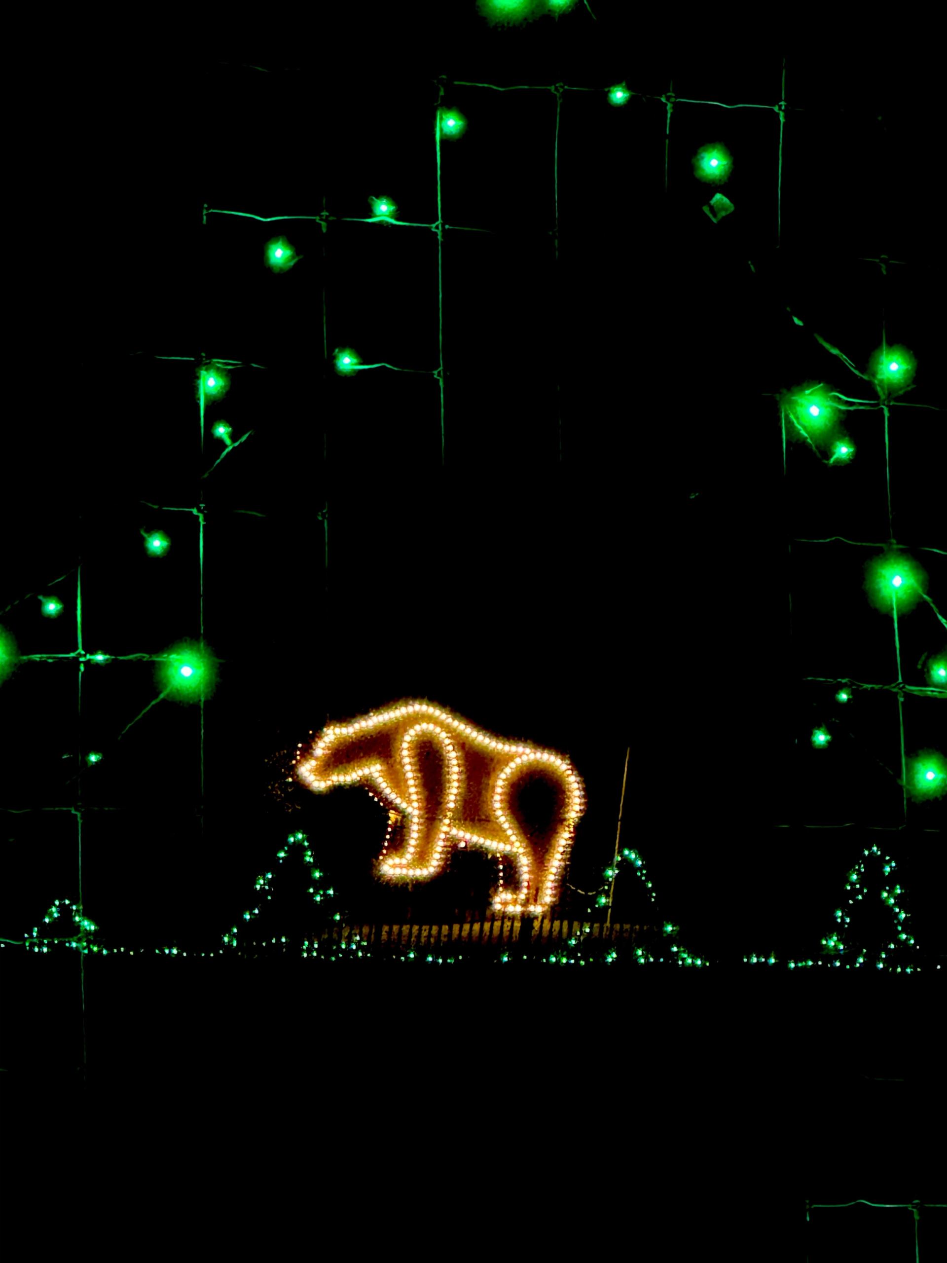 Polar bear light display.