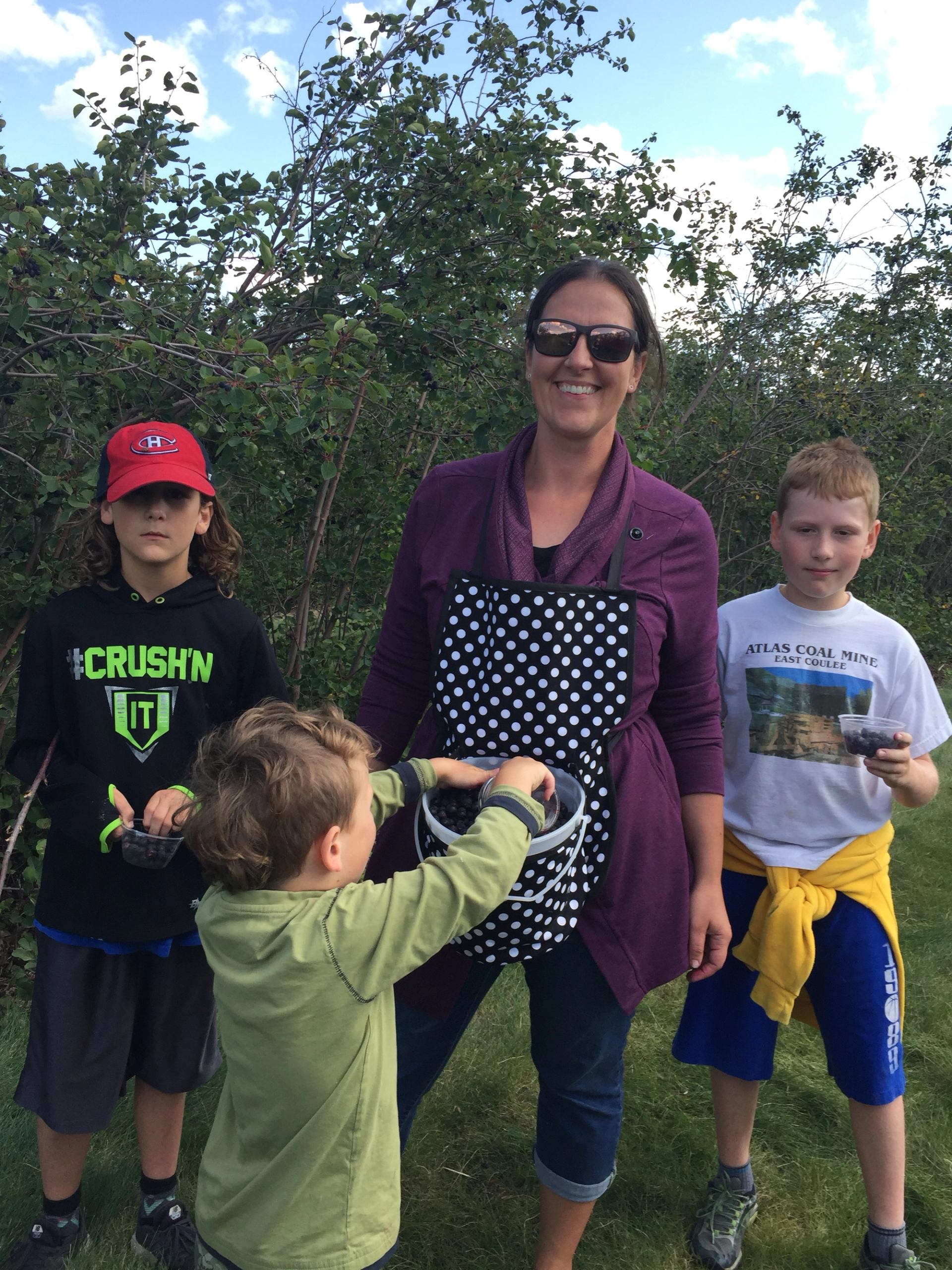 Group of people outdoors picking berries, holding containers beside leafy bushes under sky.