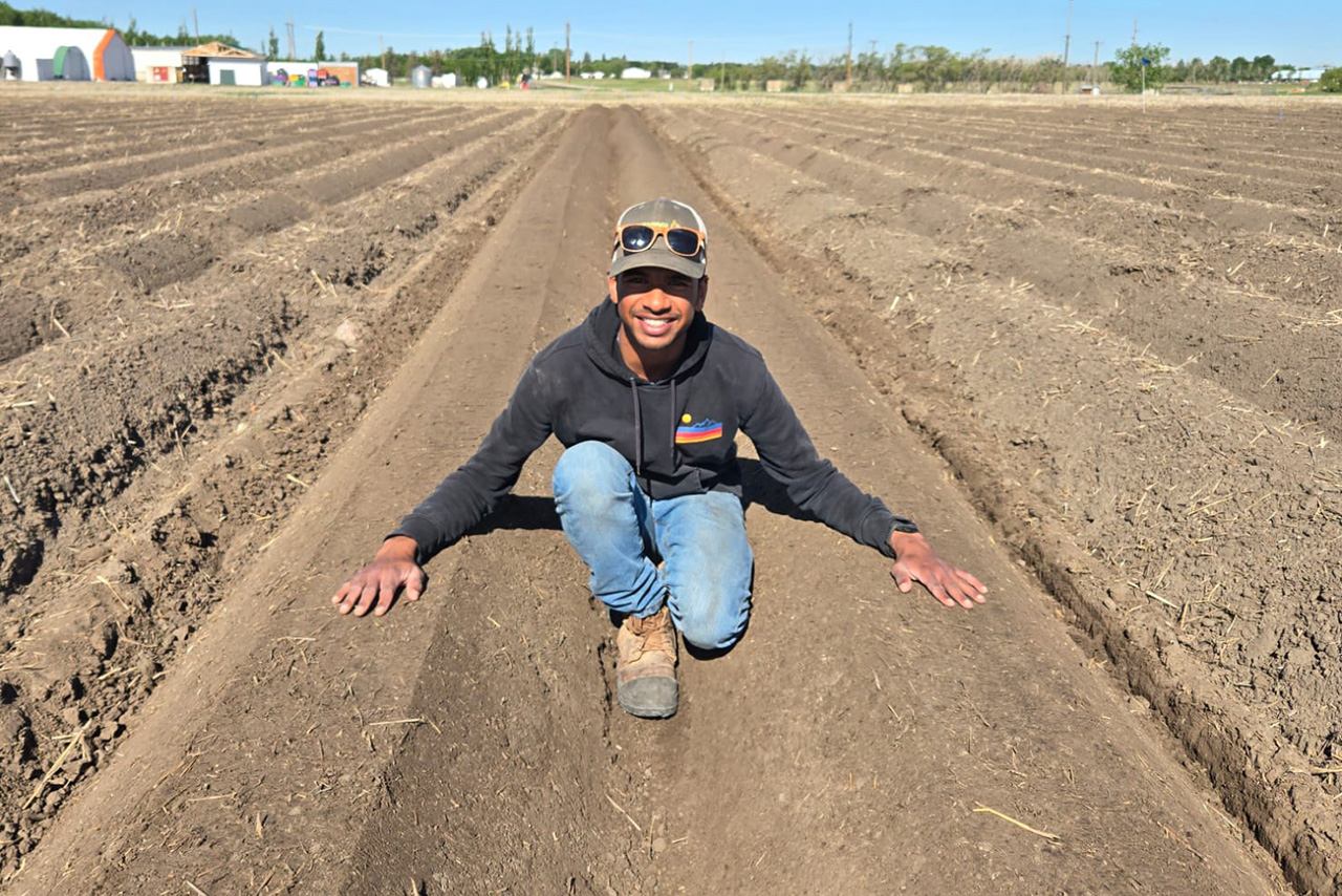Farmer in hoodie and jeans kneels on bare soil rows in open field.