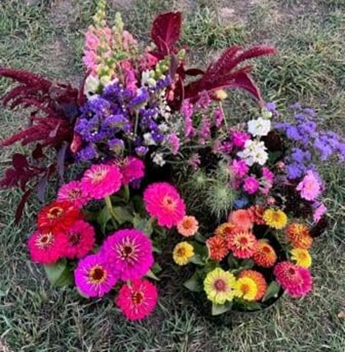 Assorted colourful flowers arranged on grass, including zinnias, asters and leafy stems.