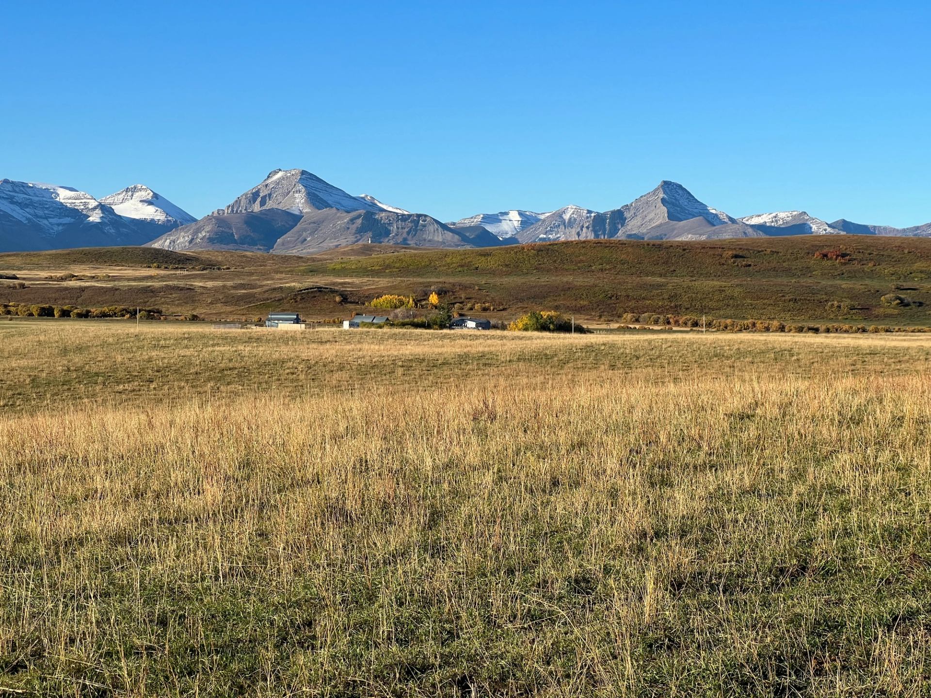 Wide grassy field with distant cabins and snow-capped mountains under a clear blue sky.