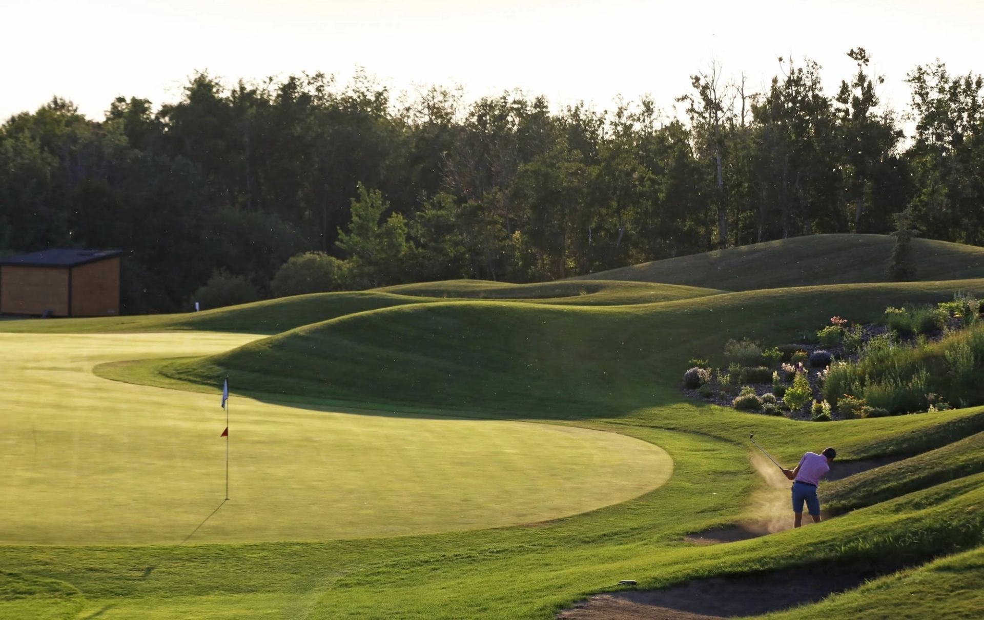 A golfer plays from a bunker beside a manicured green surrounded by rolling fairways and trees.