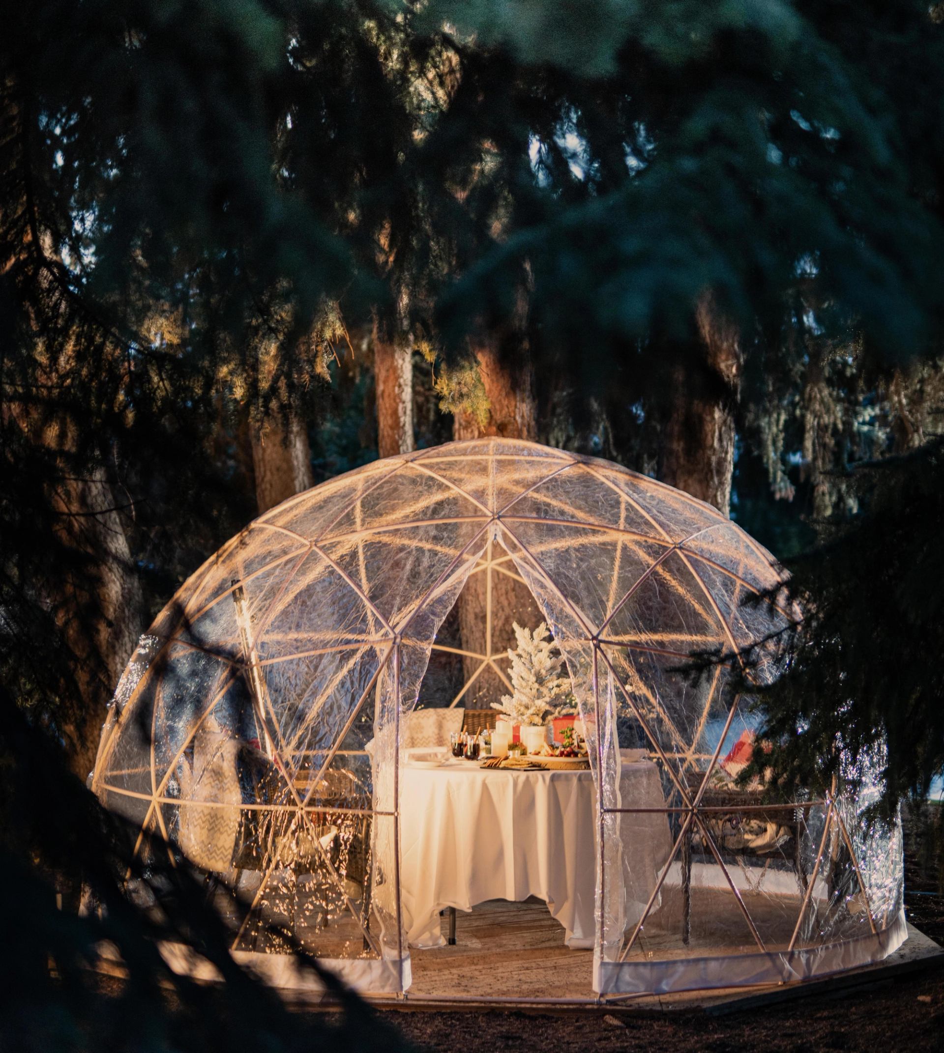 Transparent dome with a decorated dining table, softly lit among trees.