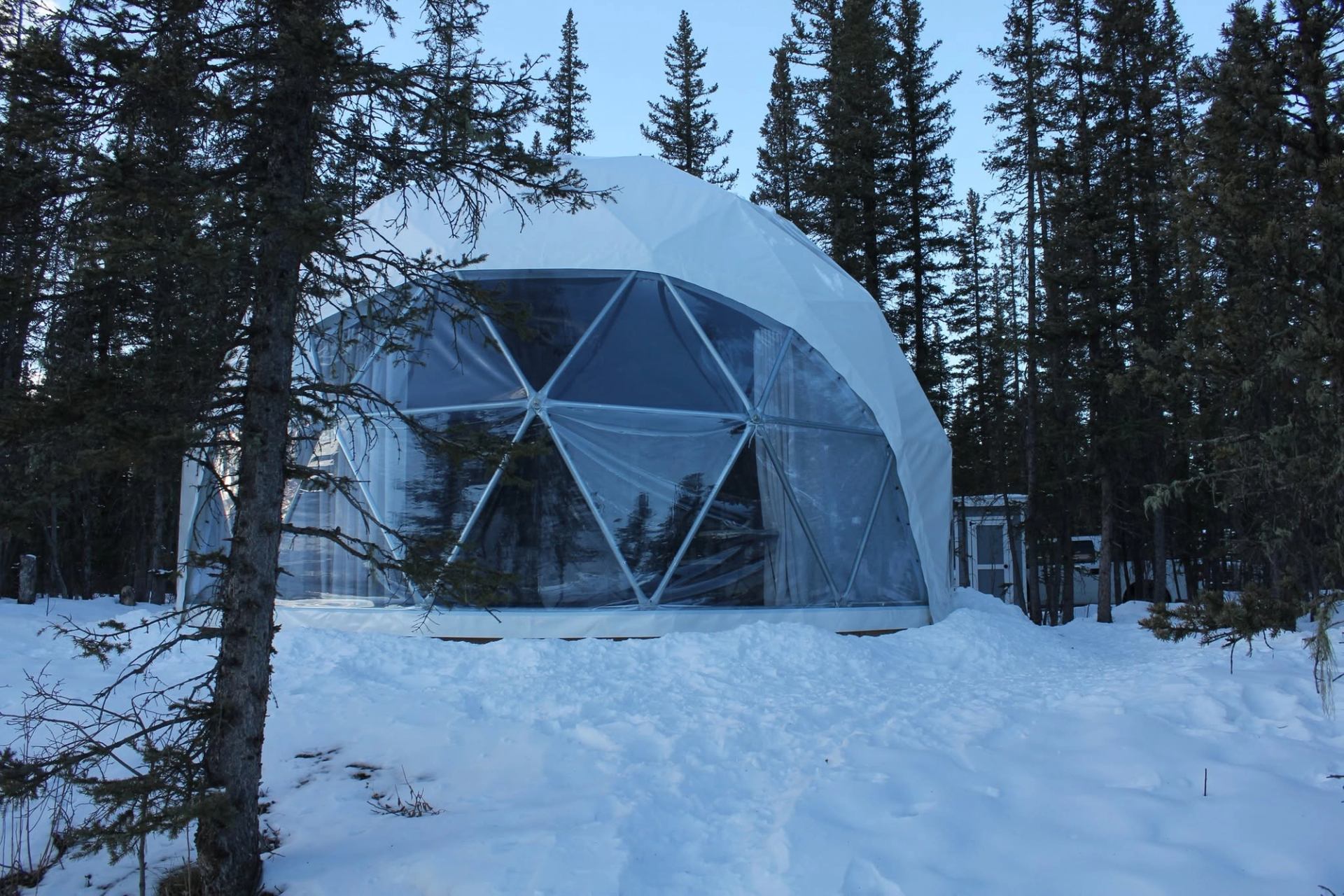Geodesic dome tent with clear panels surrounded by snow and tall evergreen trees.