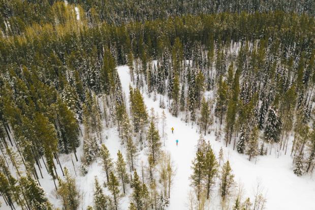 An overhead aerial view of two cross country skiers in the midst of trees and forest, enjoying the trails in West Bragg Creek.