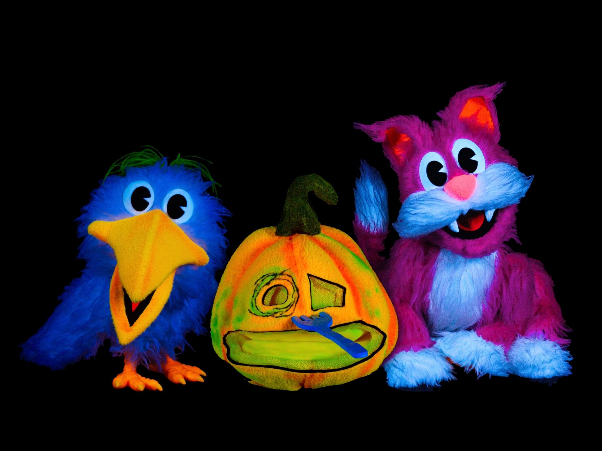 Colourful bird and cat puppets sit beside a glowing painted pumpkin decoration.