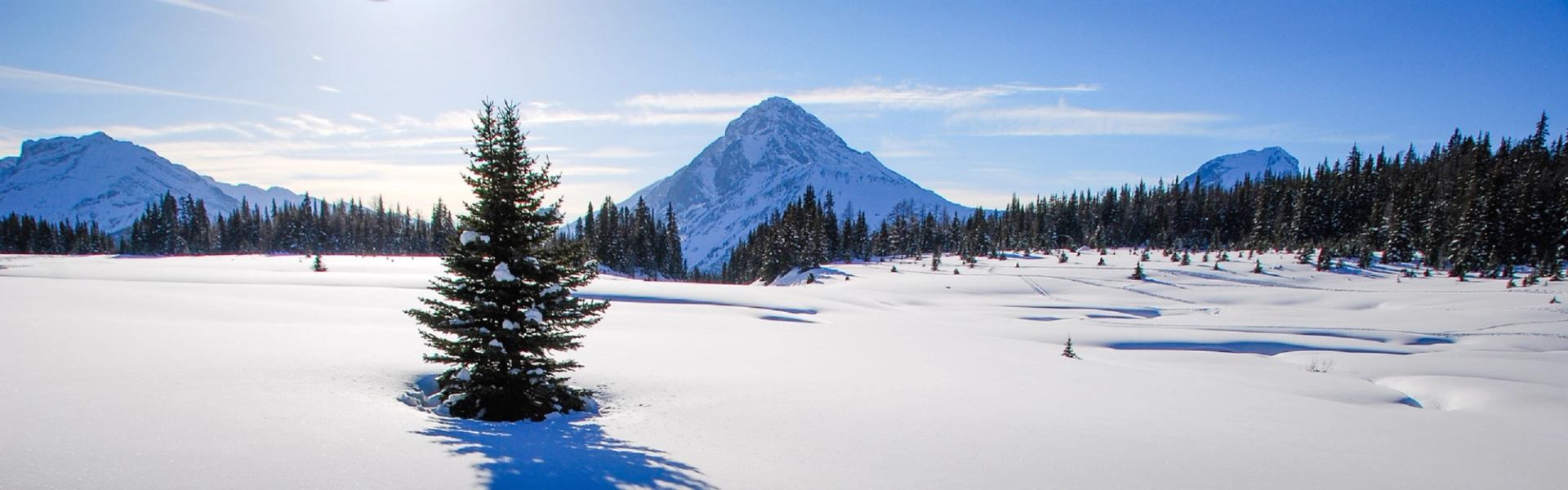 Snow-covered alpine landscape with evergreen trees and rugged mountain peaks under a clear blue sky.