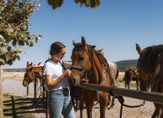 Woman petting horse.