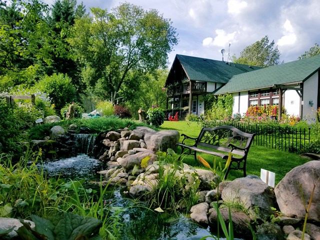 Peaceful garden with pond, bench, and cottage-style house surrounded by greenery.