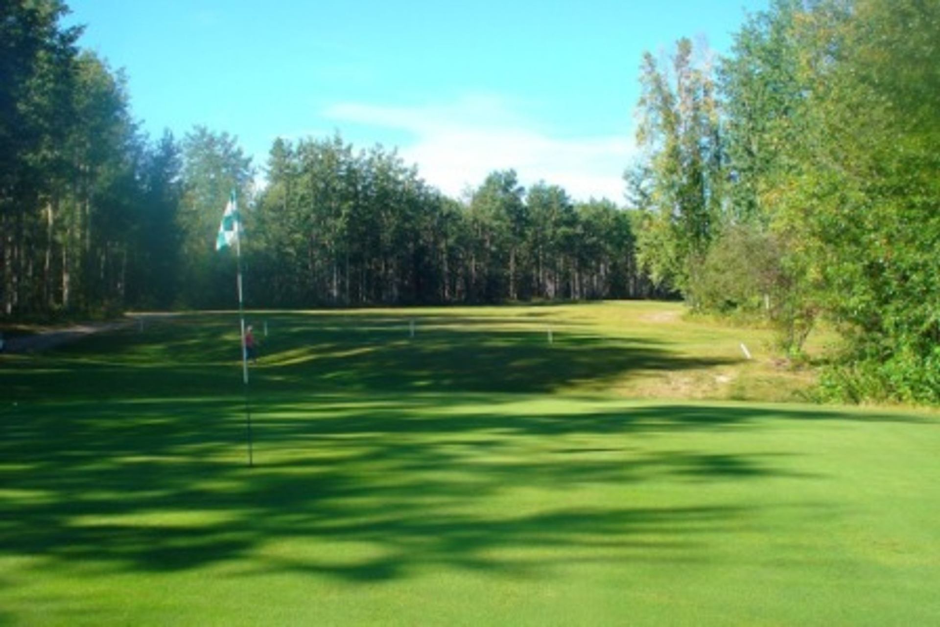 Golf green with flagstick surrounded by trees under a partly cloudy sky.