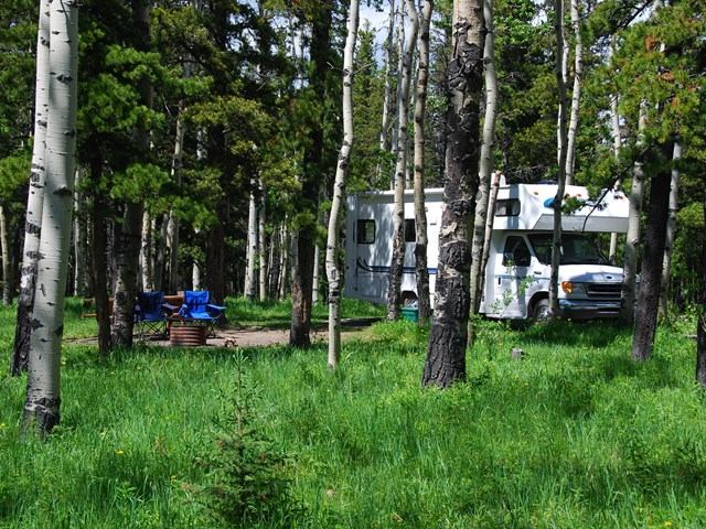 Motorhome parked at a forested campsite with picnic table and chairs