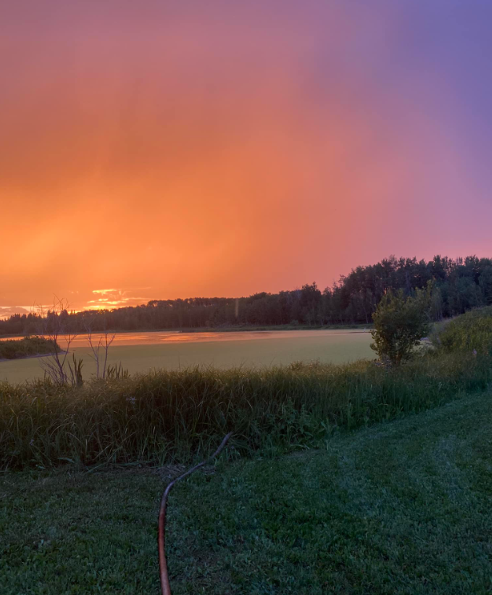Vibrant sunset glows over a pond and grassy course landscape.