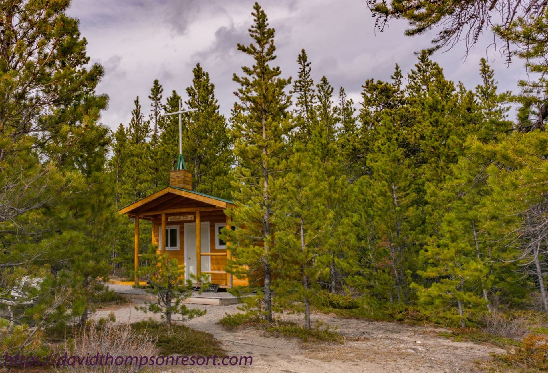 Small wooden chapel with a cross stands among dense evergreen trees.