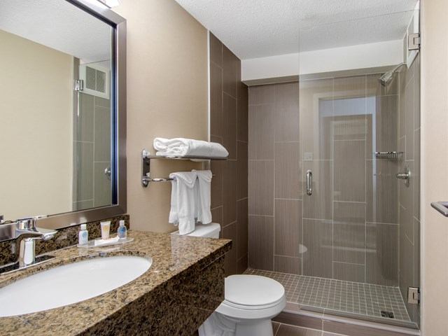Bathroom with granite sink, mirror, toilet, and glass shower with tiled floor and walls.