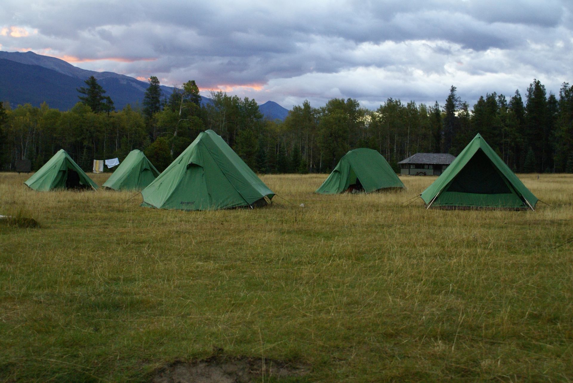 Group of green tents in an open field beneath the Canadian Rockies.