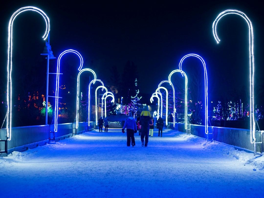 Snowy path lined with glowing blue candy cane-shaped lights at night