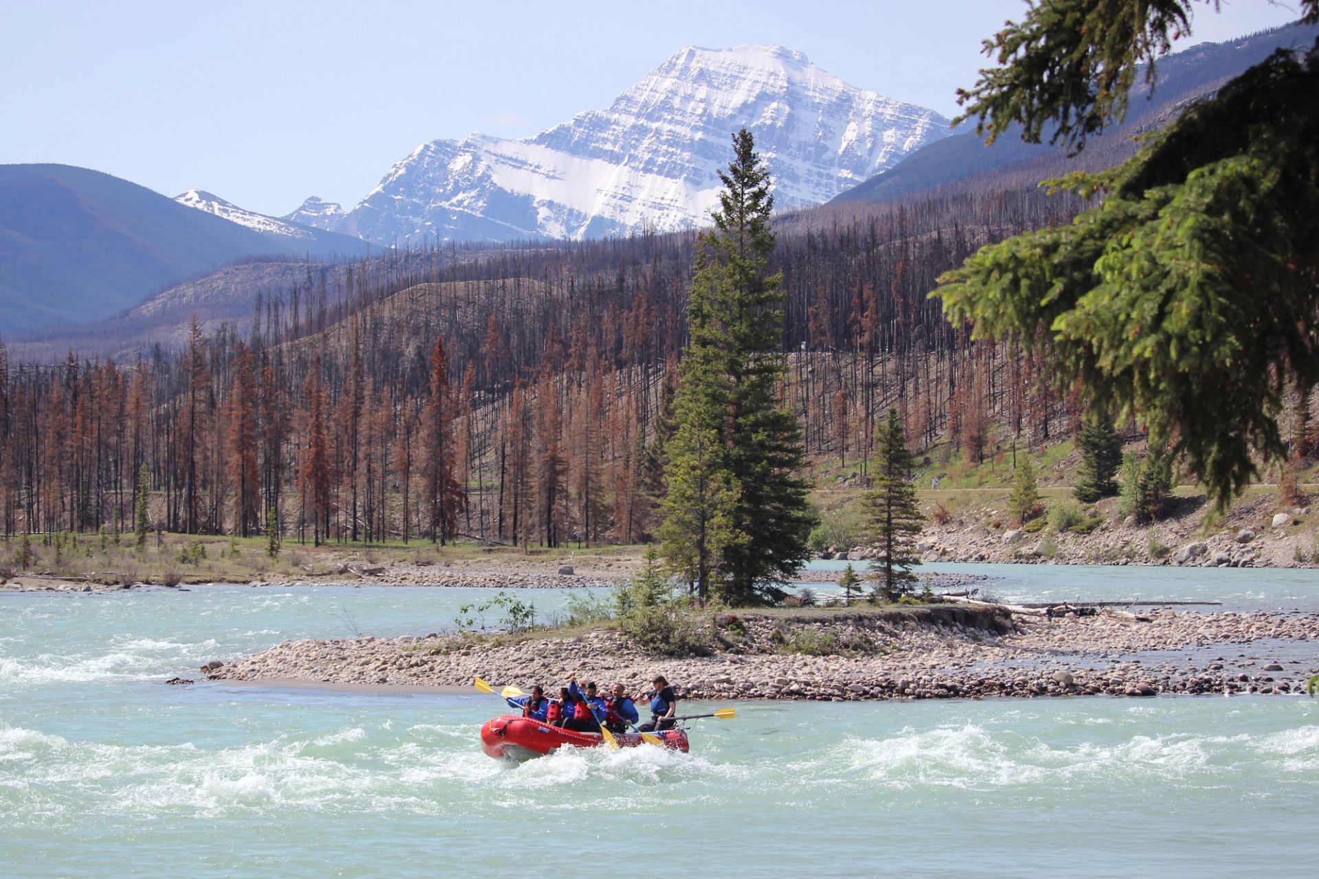 Red raft with paddlers moves through river rapids below snow-capped mountain and forest.