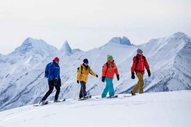 Snowshoeing tour with White Mountain Adventures.