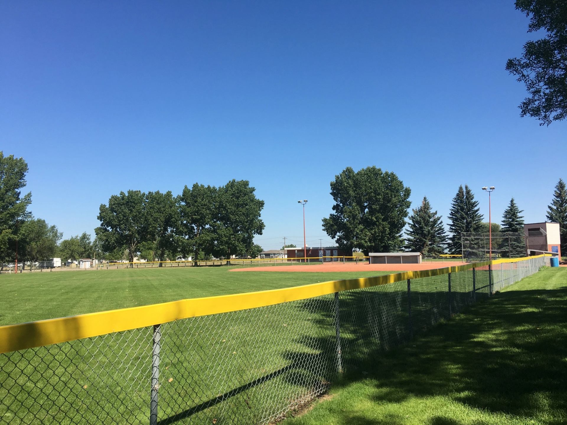 Baseball field with chain-link fence, trees, and lights at Redcliff Ball Diamonds.