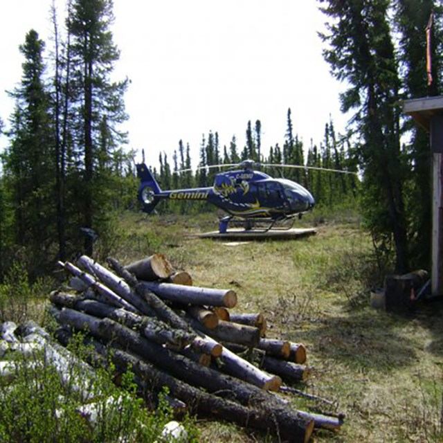 Gemini helicopter parked in forest clearing beside pile of cut logs.