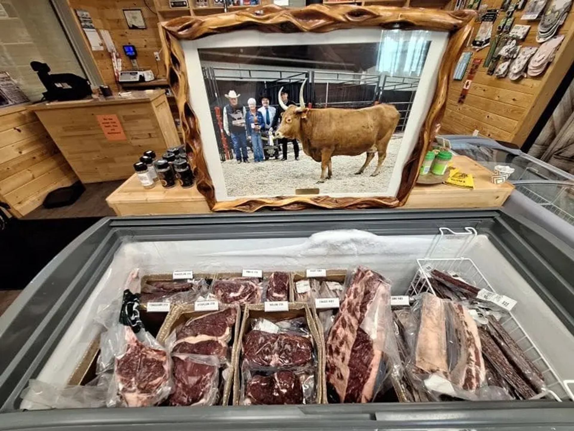 Butcher shop freezer with packaged beef cuts below framed photo of cow and people.