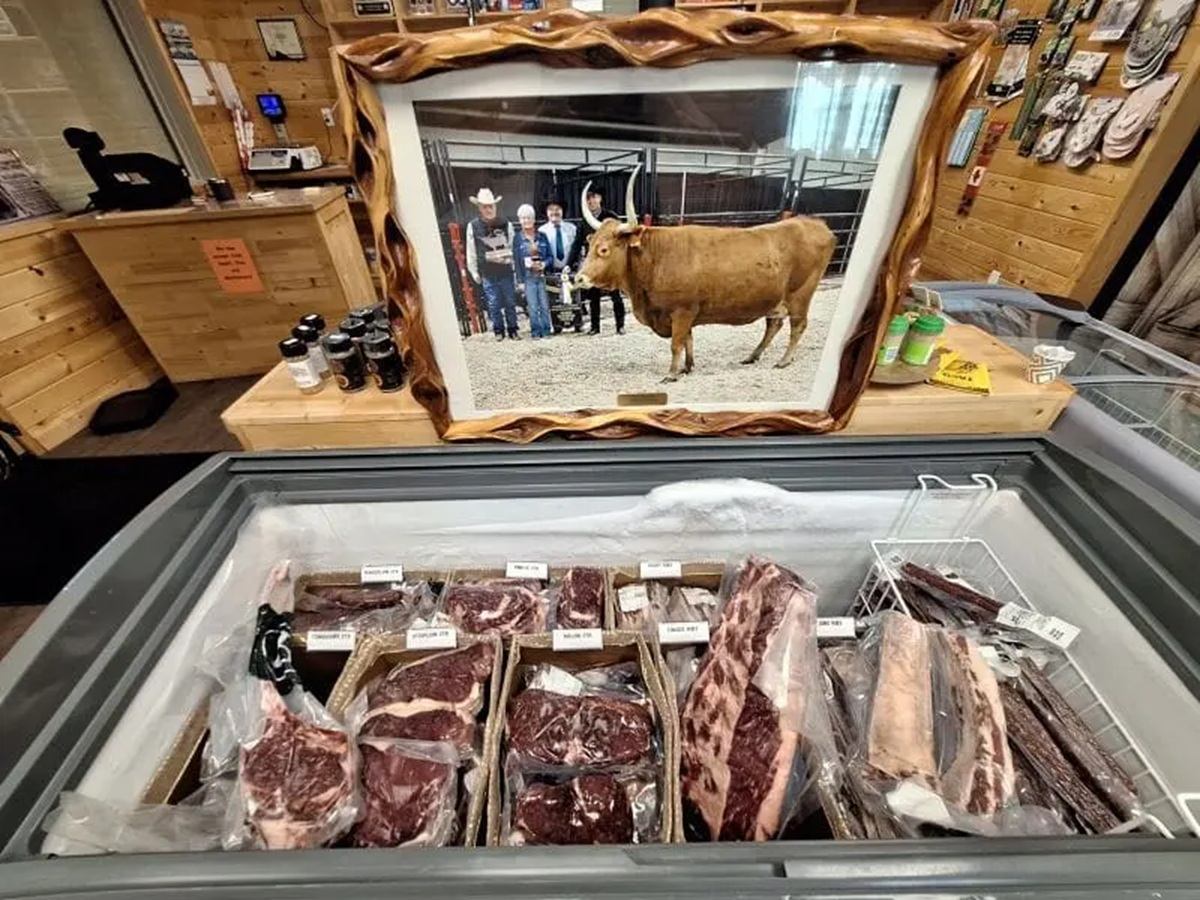 Butcher shop freezer with packaged beef cuts below framed photo of cow and people.