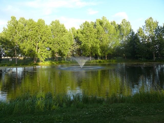 A peaceful pond with a fountain, reflecting trees in the evening light.