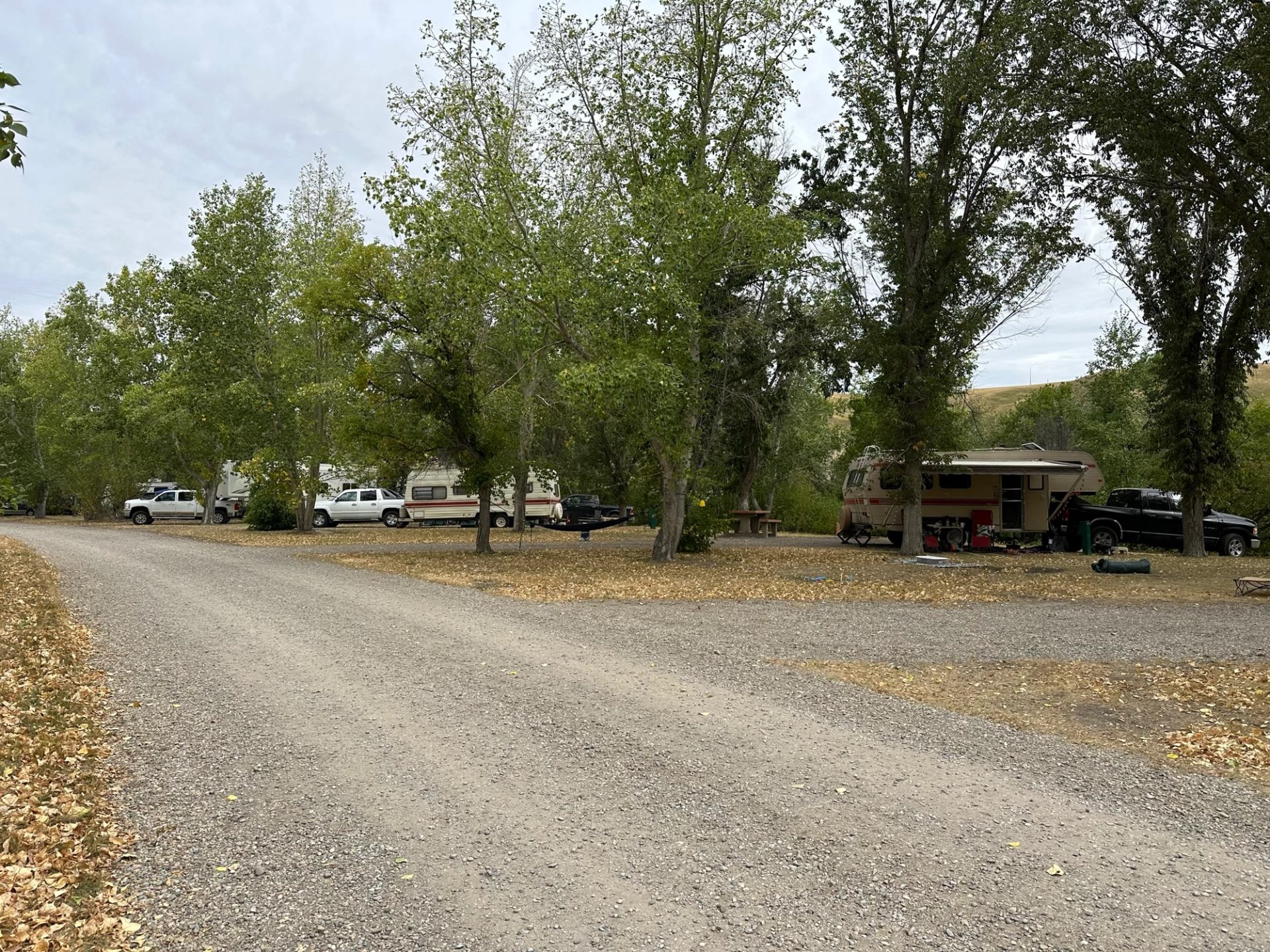 Gravel campground road beside RVs and trucks parked among tall leafy trees.
