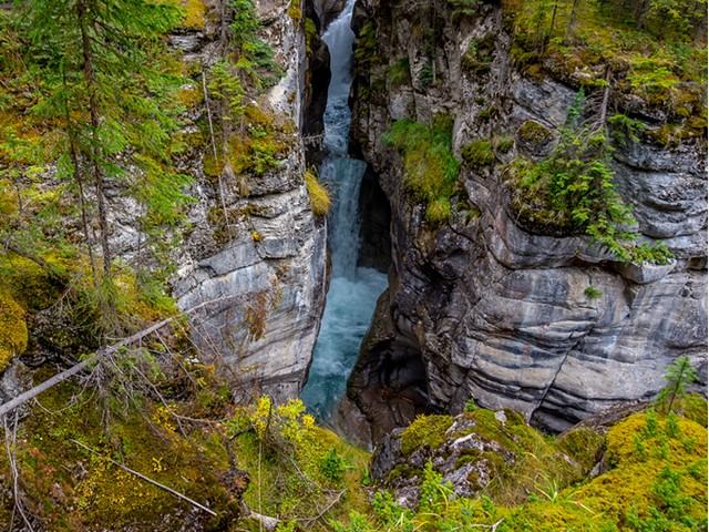 Narrow waterfall rushing through steep rocky canyon surrounded by moss, shrubs and evergreen trees.
