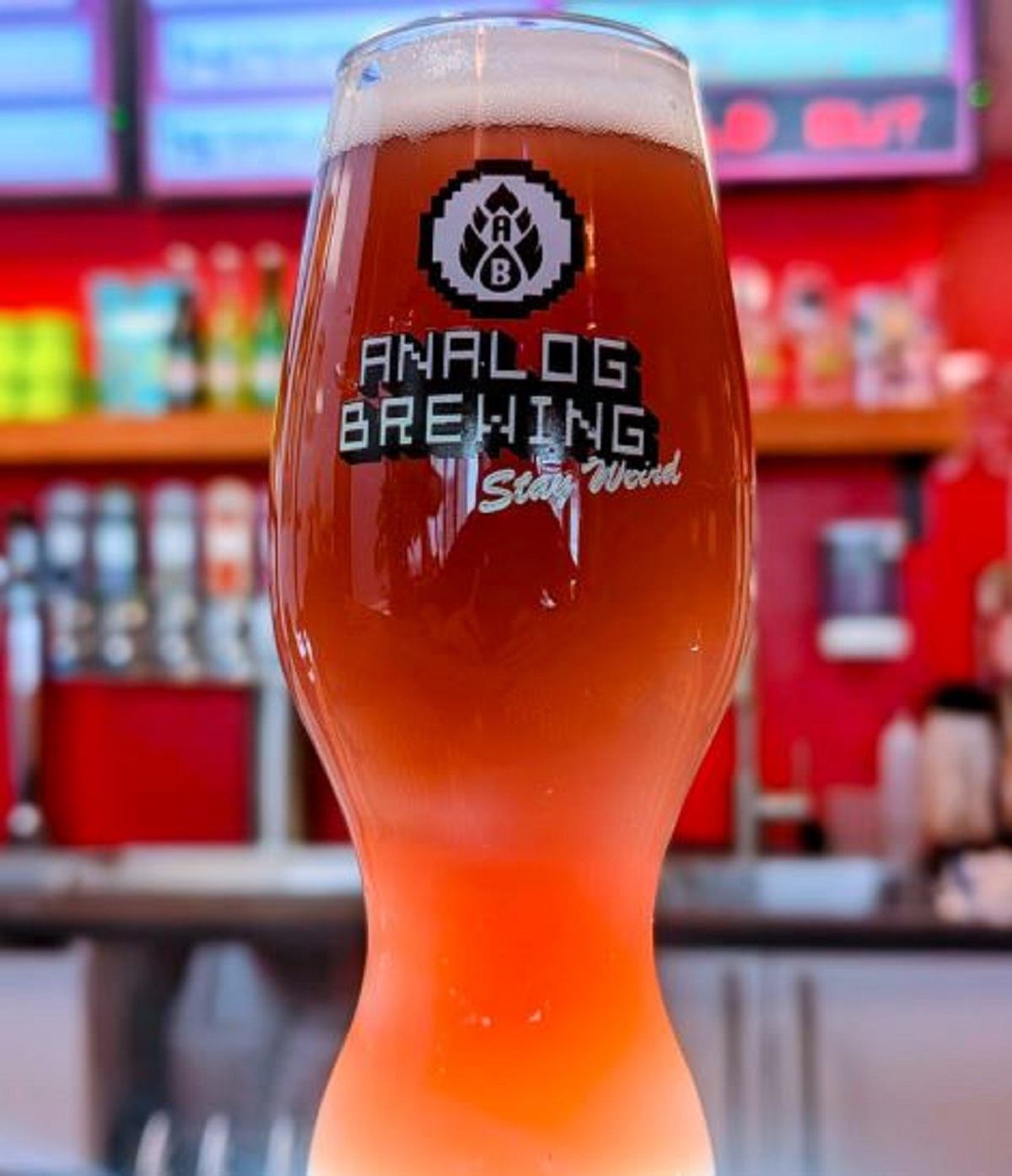 A tall glass of brew at Analog Brewing