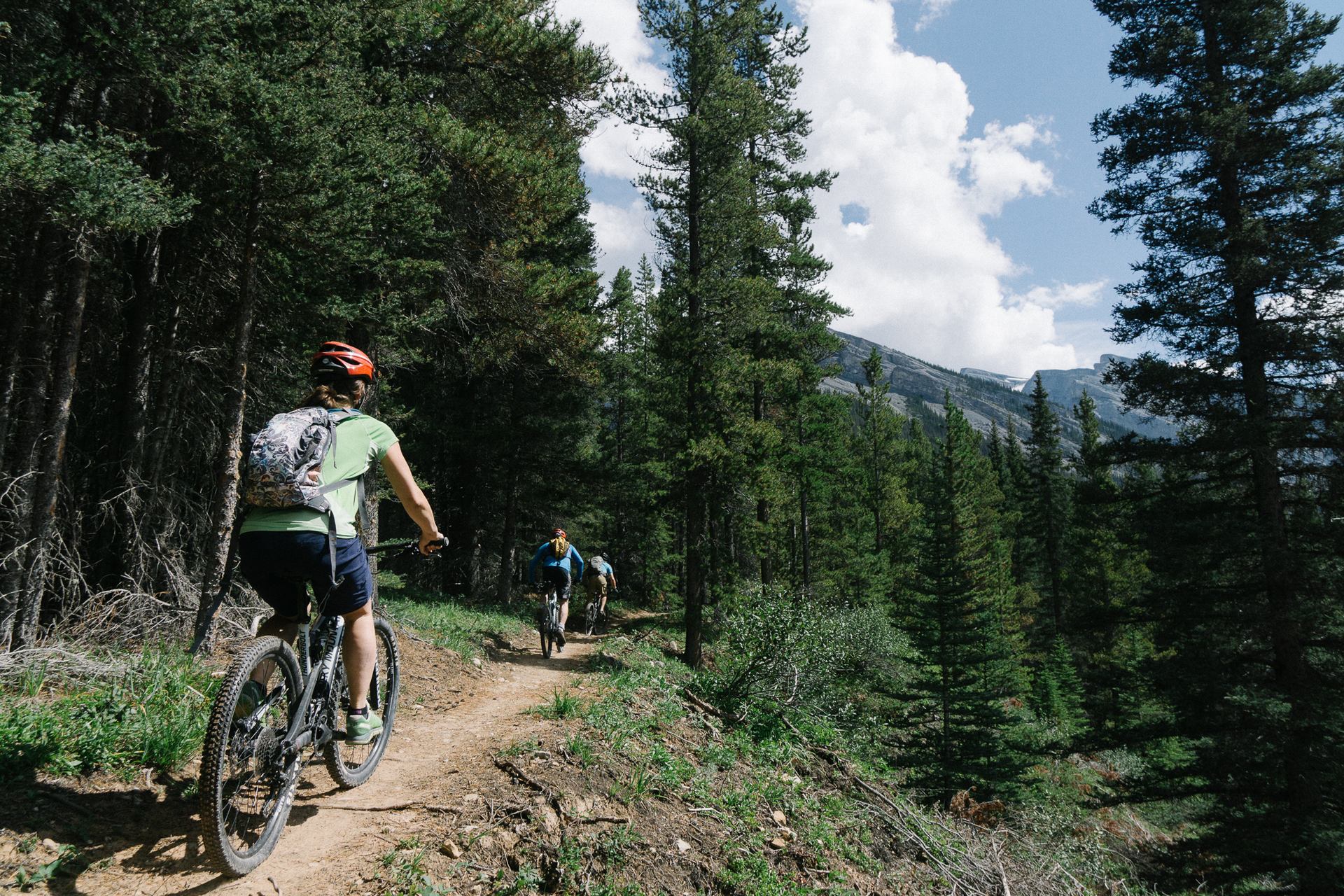 Two people mountain biking on a forest trail with mountains in the background.