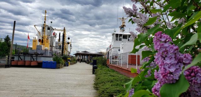 A scenic view of the shipyard with flowers in the foreground.